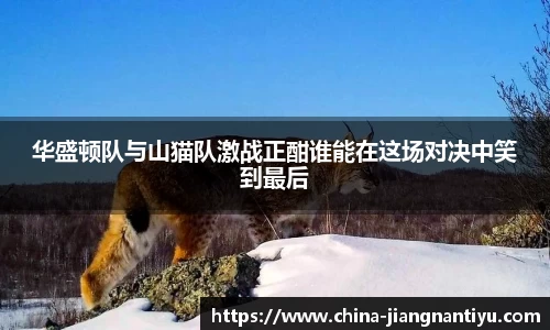 华盛顿队与山猫队激战正酣谁能在这场对决中笑到最后